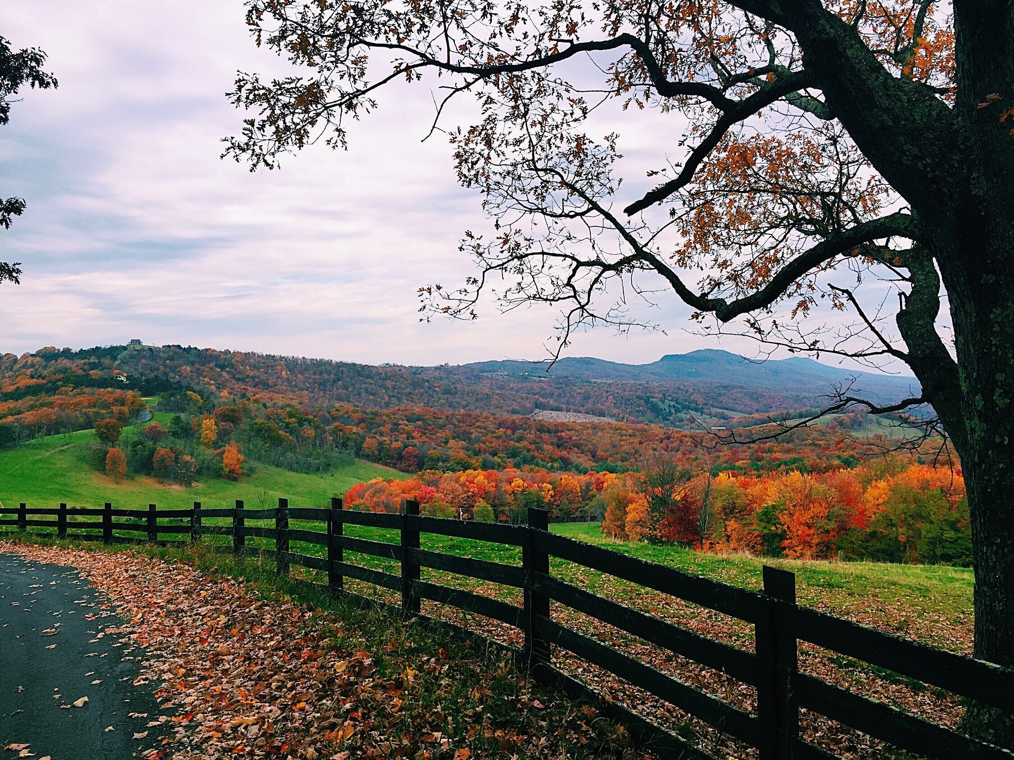 West Virginia